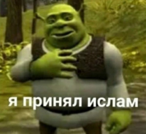 Шрек извините