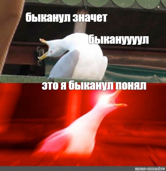 Быканутые мемы