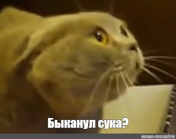 Прости БЫКАНУЛ Мем