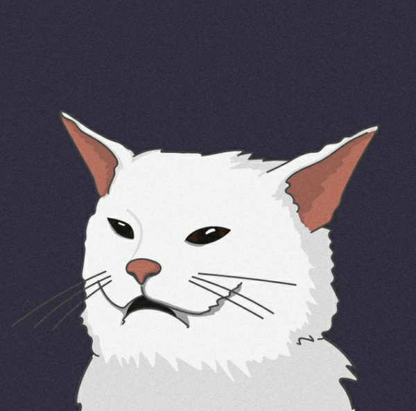 Ава для стима кот