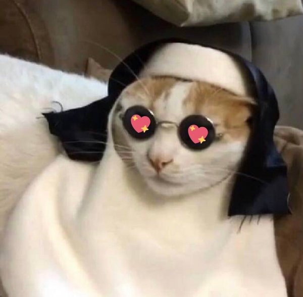 Католик кот