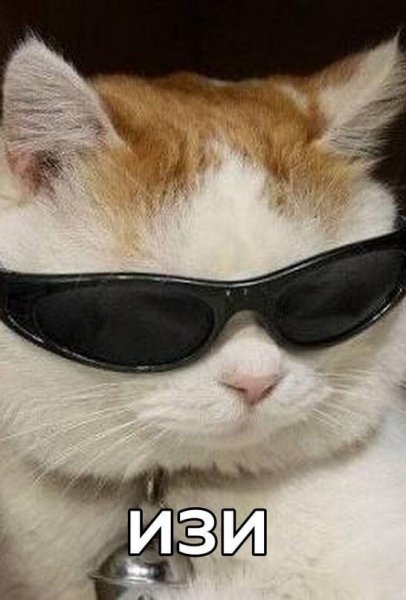 Милые котики мемы
