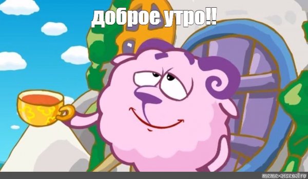 Бараш темперамент