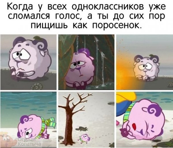 Смешарики цитаты Бараша