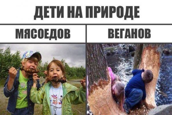 Картинки приколы смешные до слез