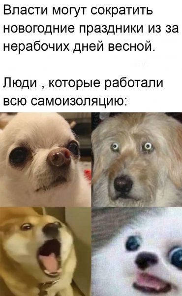 Прикольные мемы с надписями