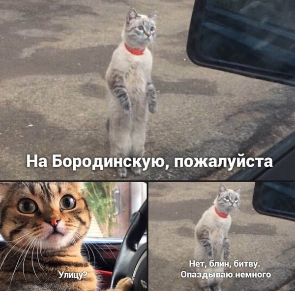 Мемы ржачные до слез Угарные с надписями