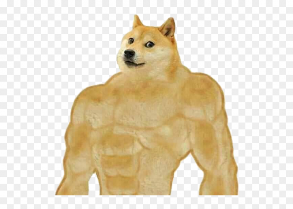 Качок доге