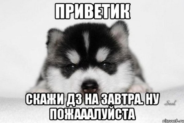 Скажи ДЗ на завтра