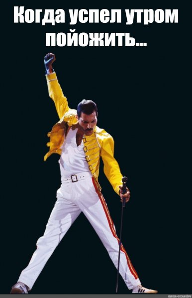 Фредди Меркьюри Мем