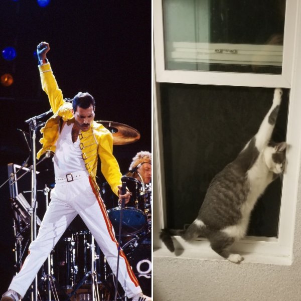 Фредди Меркьюри рука вверх