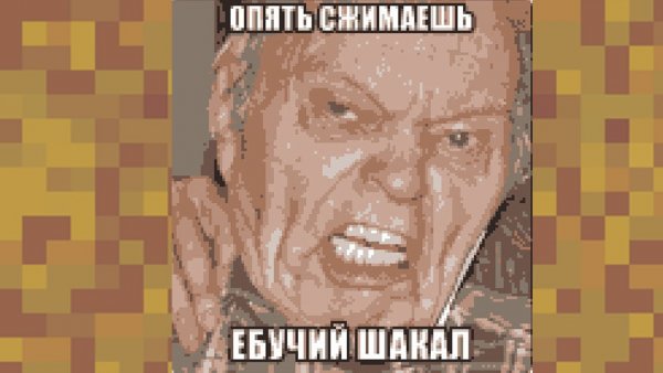 10 Шакалов из 10