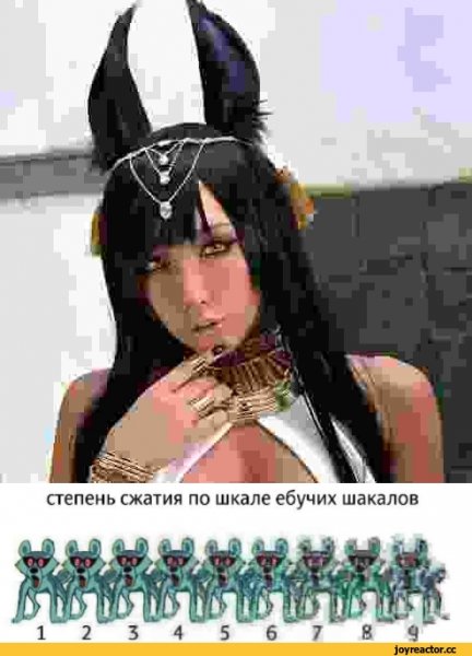 По шкале шакалов