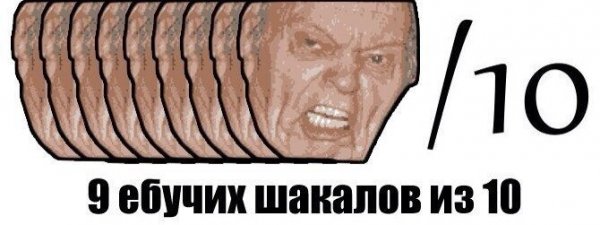 Десять ебучих шакалов из десяти