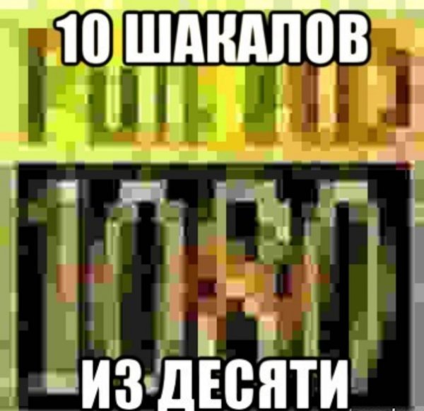 10 Шакалов из 10