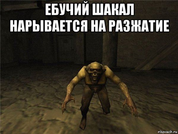 Шакал Мем