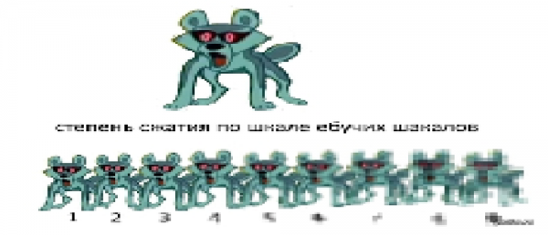 Степень сжатия шакалов