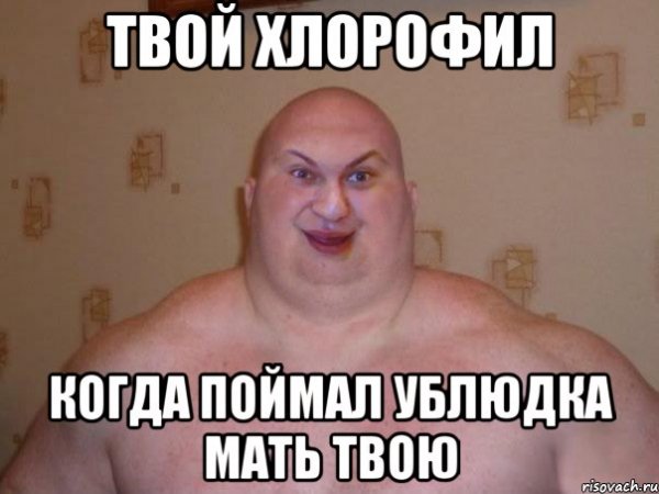 Ублюдок Мем