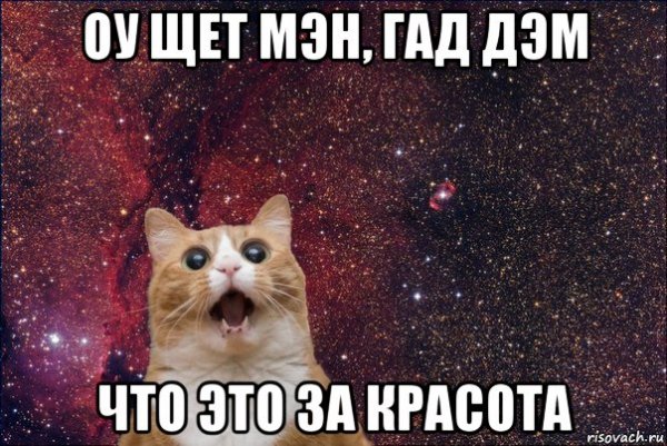 Мем с котом красота