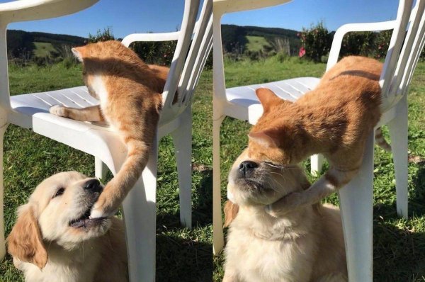 Смешные картинки