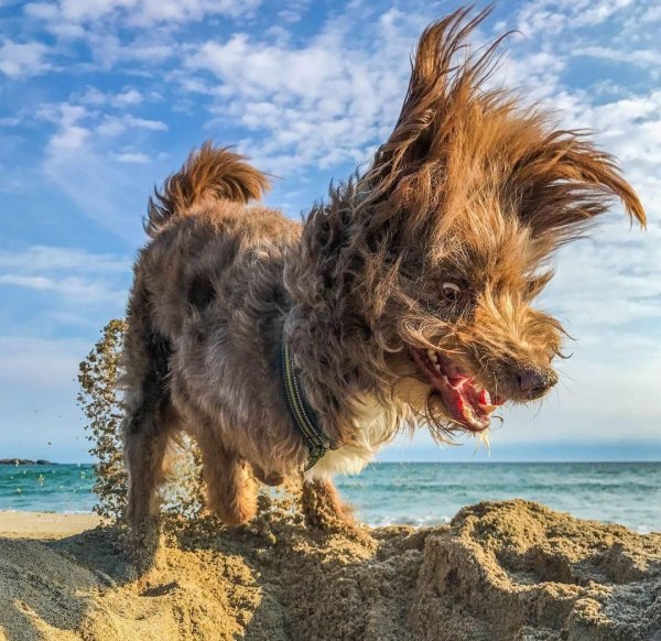 Смешные картинки