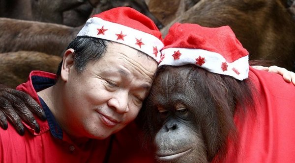 Обезьяна в красной шапке