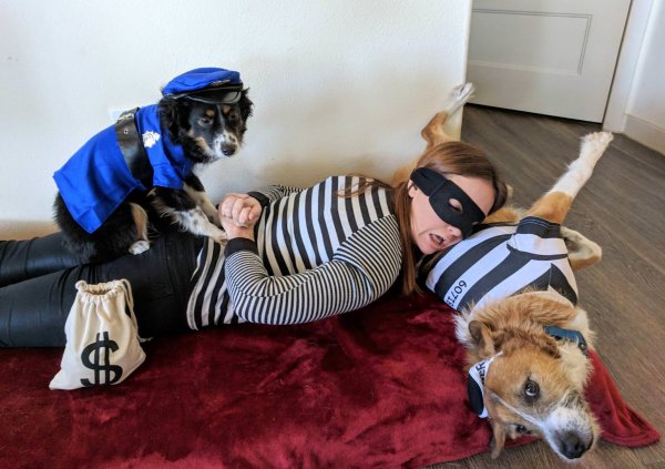 Интересные картинки смешные