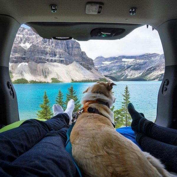 Смешные картинки