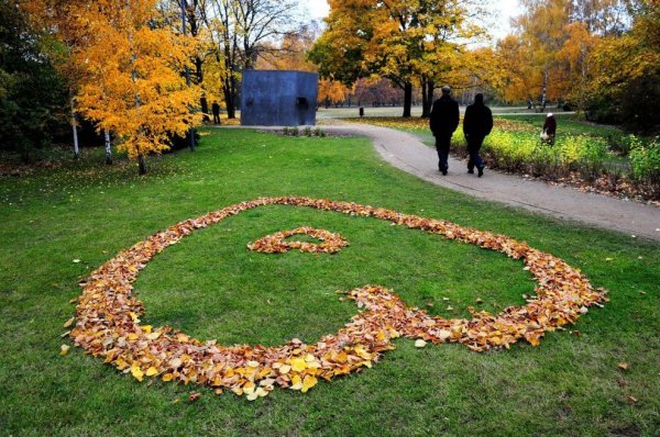 Сердце из осенних листьев