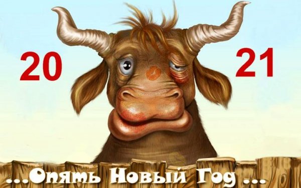 Новогодний бык