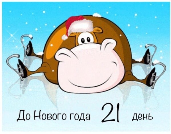 Корова на льду