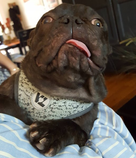 Прикольные картинки приколы