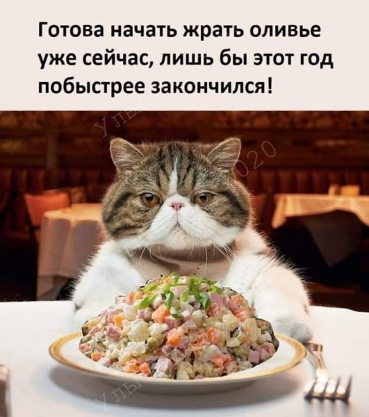 Я готова уже сейчас есть Оливье