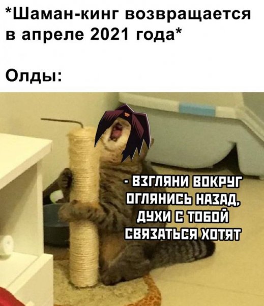 Шутки про 2021 год