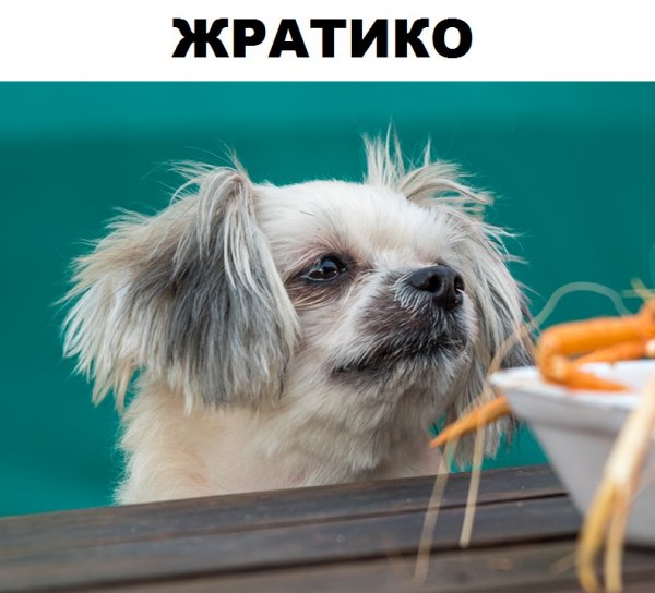 Ржачные картинки до слез