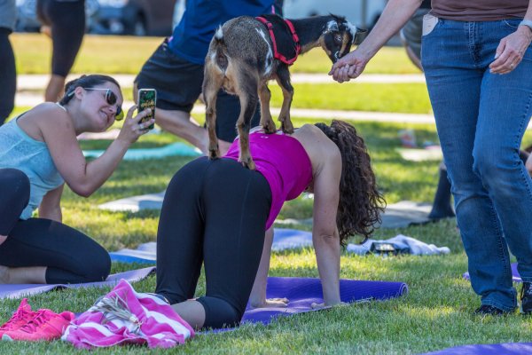 Фотоприколы 2021