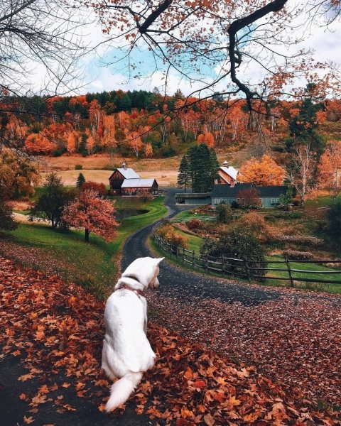 Осенний позитив