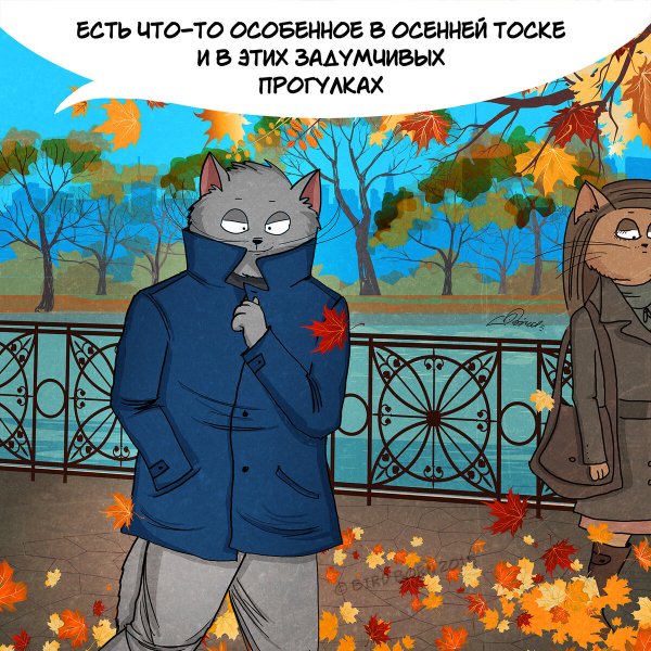 Осень юмор
