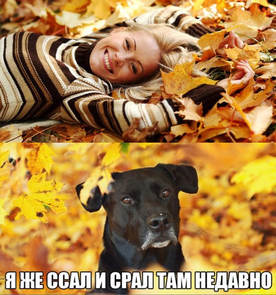 Осенняя фотосессия прикол
