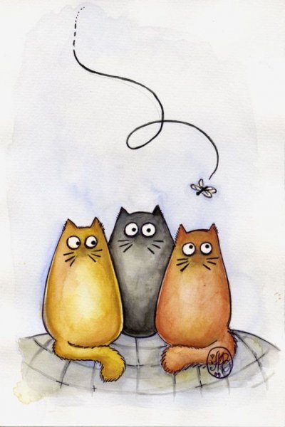 Коты рисунки