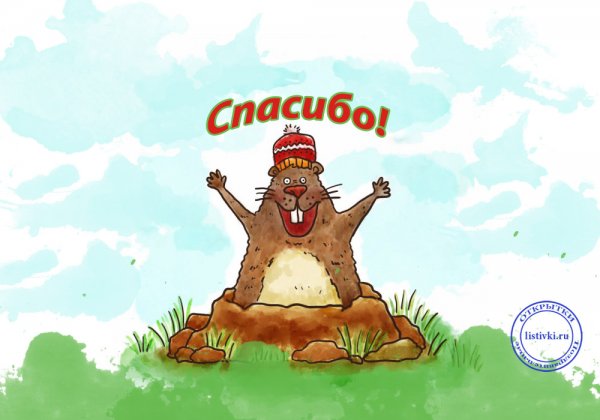 Спасибо за поздравления прикольные