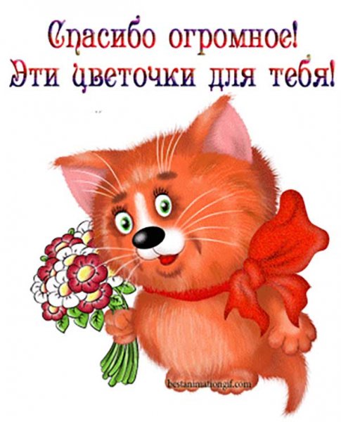 Веселые открытки спасибо бесплатно