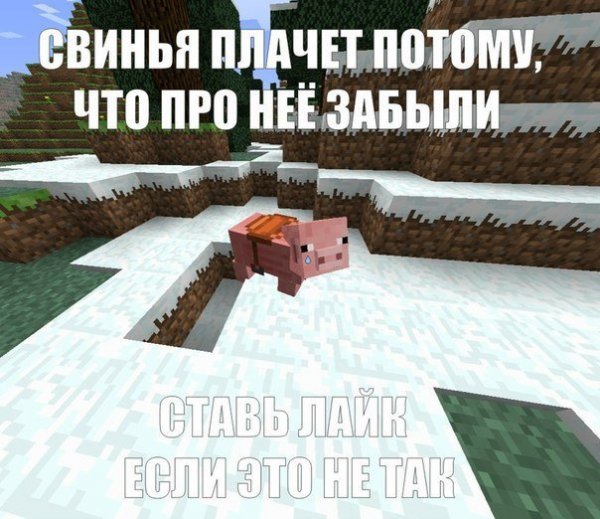 Майнкрафт приколы