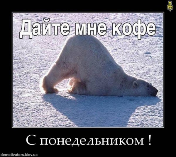 Шутки про понедельник