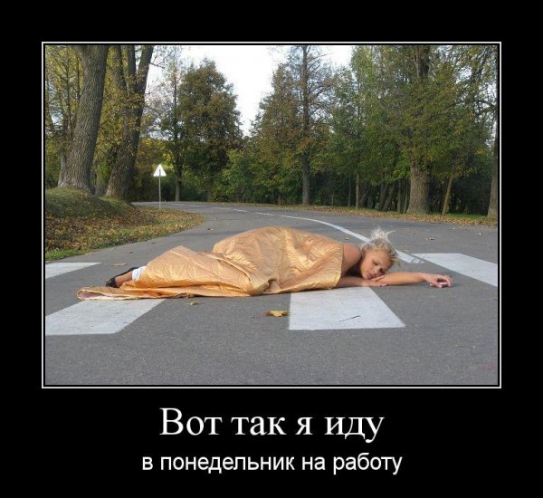 Приколы про понедельник и работу