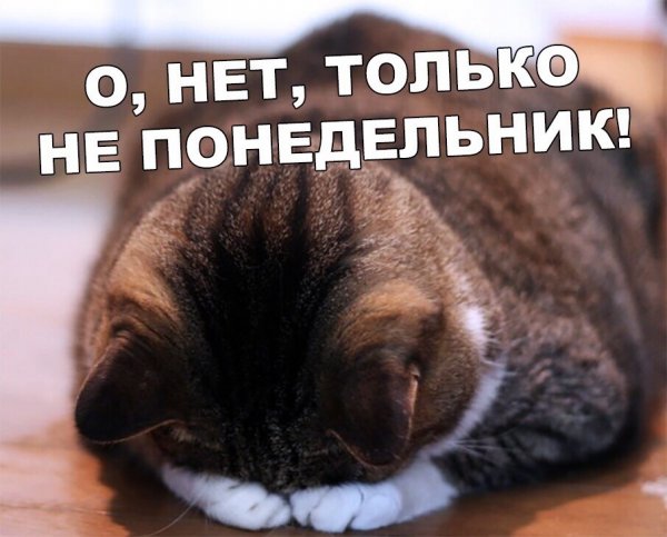 Настроение понедельник