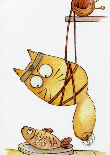 Maria van Bruggen смешные коты