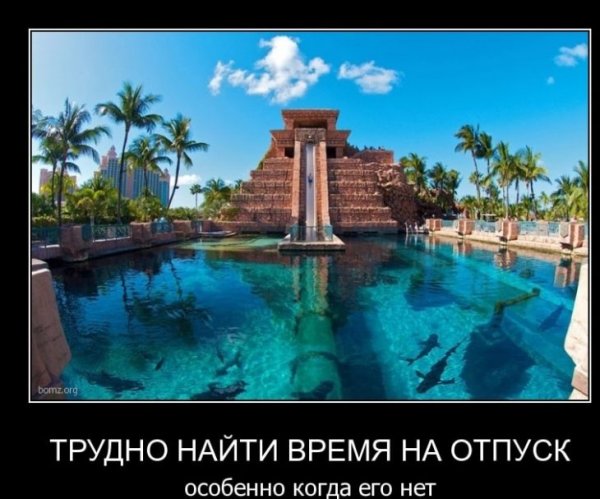 Приколы про работу и отдых