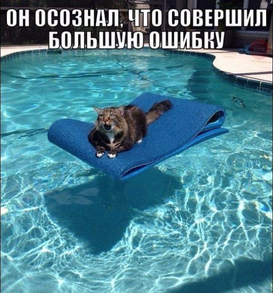 Смешные картинки про отпуск