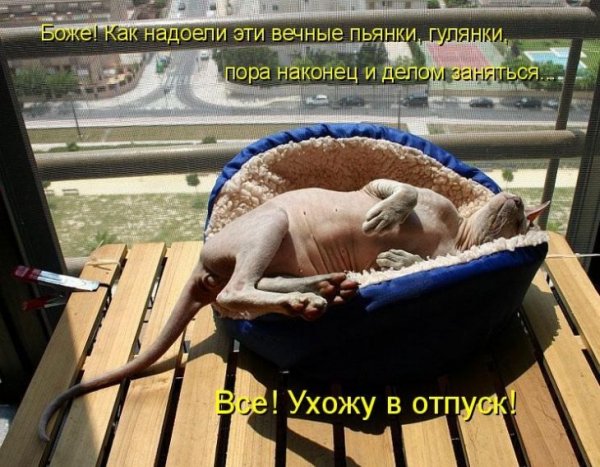 Первый день отпуска приколы